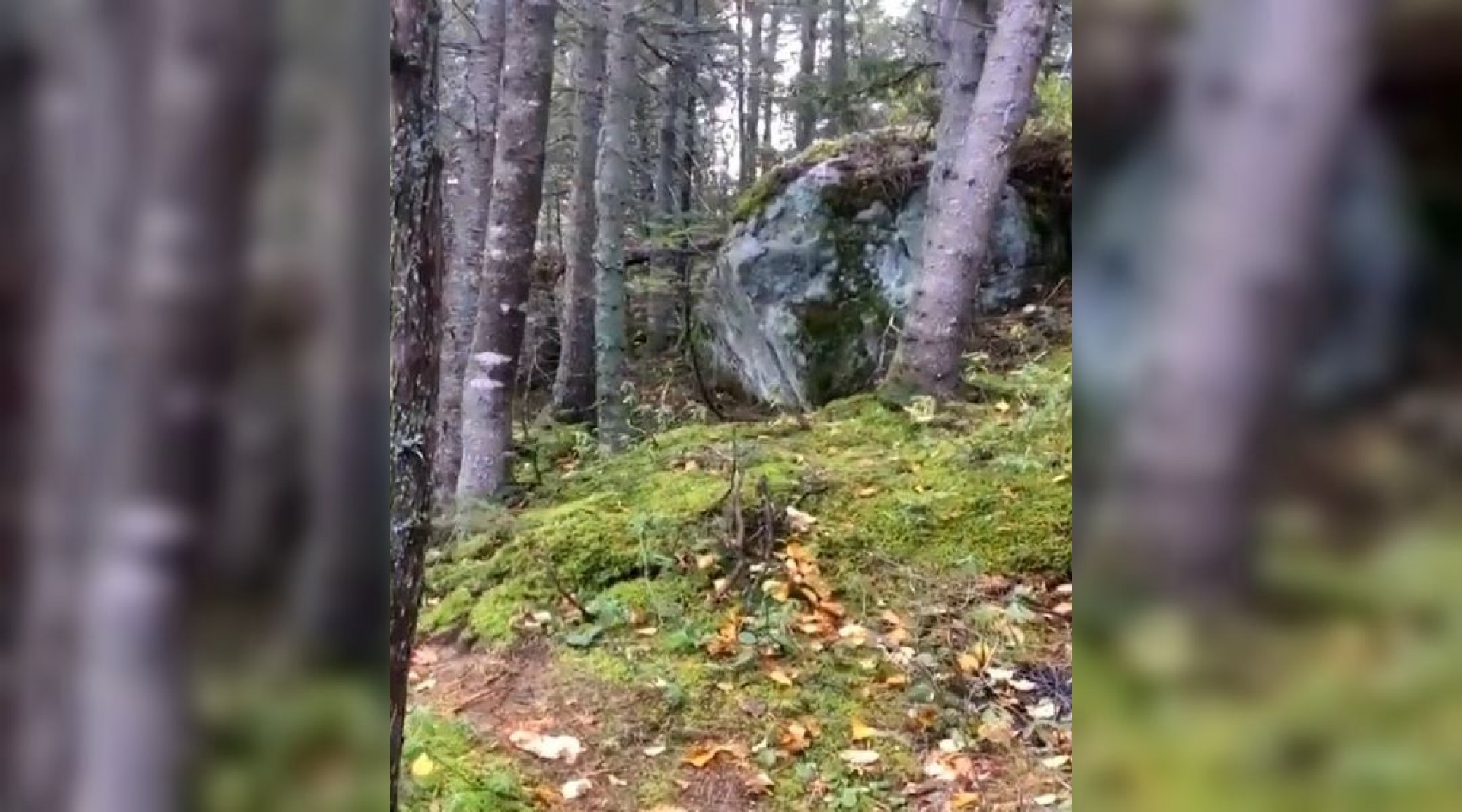 VIDEO: Así “respira” la Tierra, verlo es realmente espeluznante
