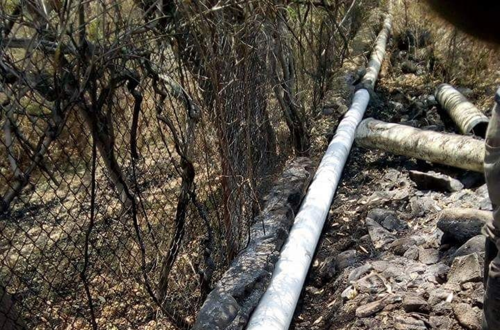 Sustituyen tubería chamuscada del canal Perritos en El Rodeo