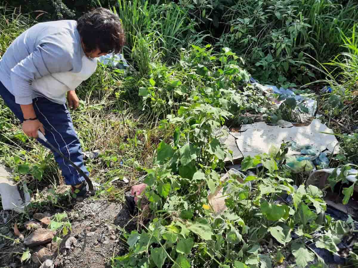 Basura afecta la reforestación en Zacatepec