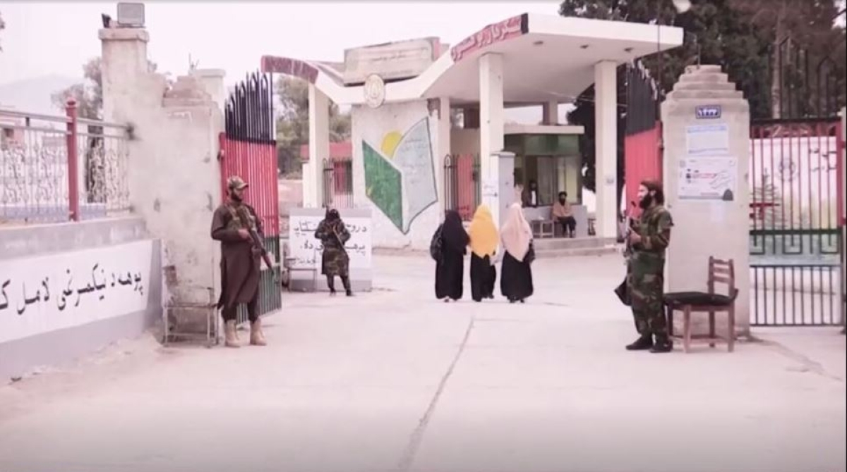 Talibanes permitirán que mujeres estudien la universidad