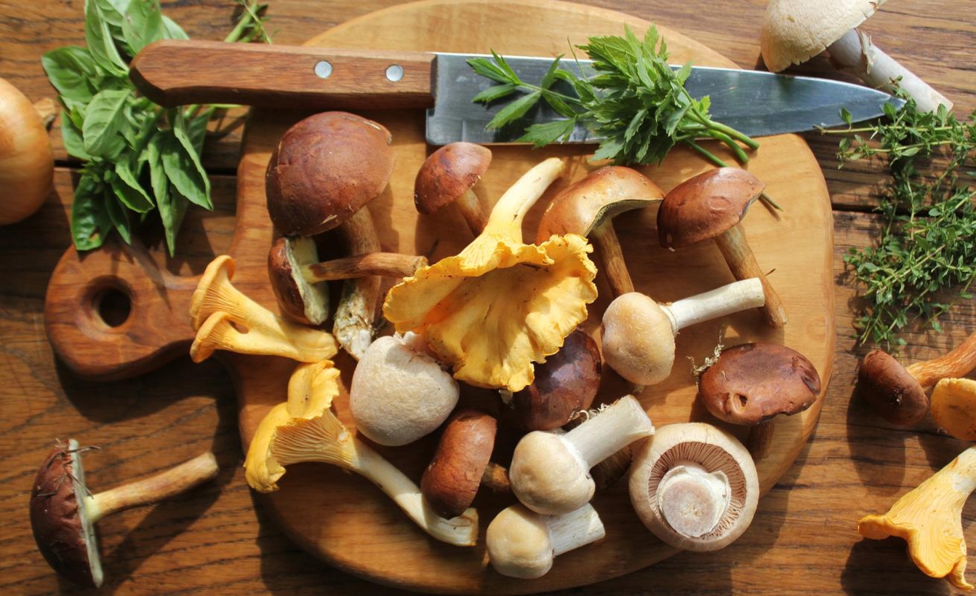 Temporada de hongos: descubre 5 variedades y sus beneficios para la salud
