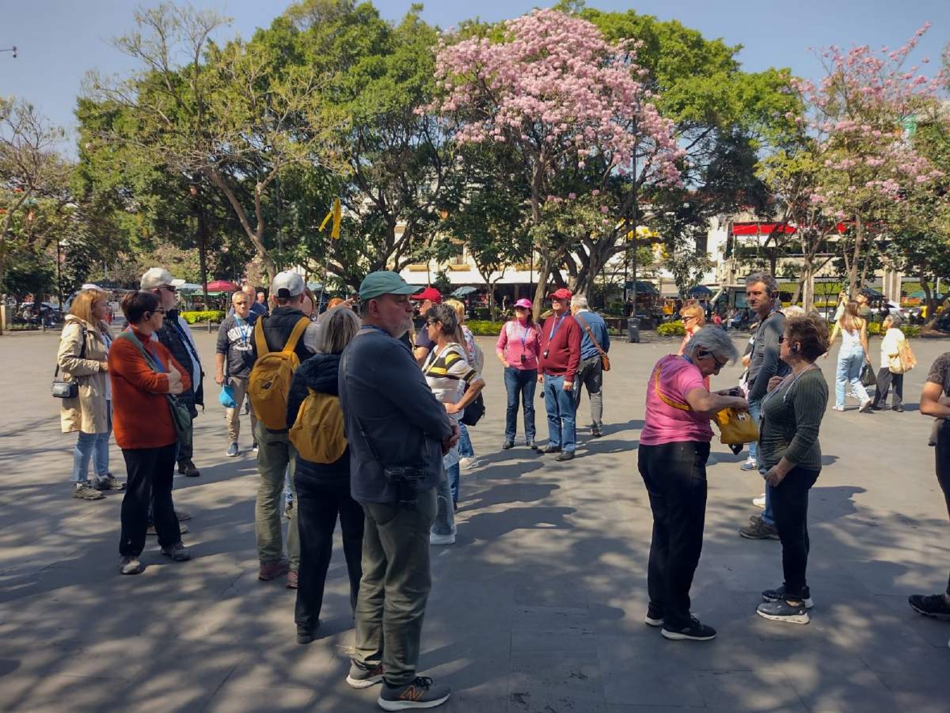 Escuelas de Español mantienen plan de expansión pese a alerta de viaje