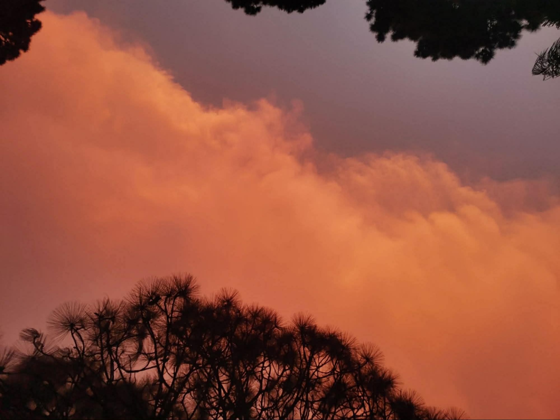 ¿Por qué el cielo de Cuernavaca se pintó de naranja esta tarde?
