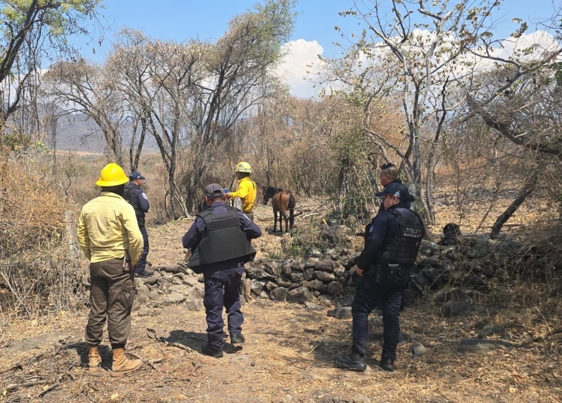 Detienen en flagrancia a presunto responsable de provocar incendio en zona forestal de Tepoztlán