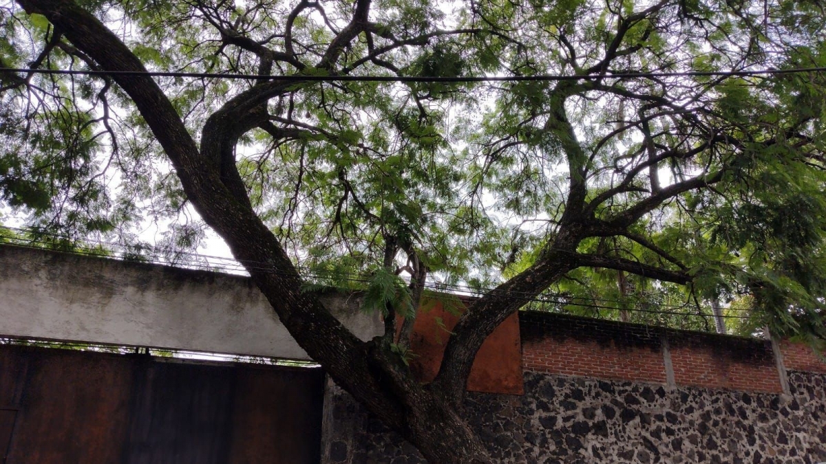 Inspecciona ayuntamiento capitalino obra en la colonia Delicias