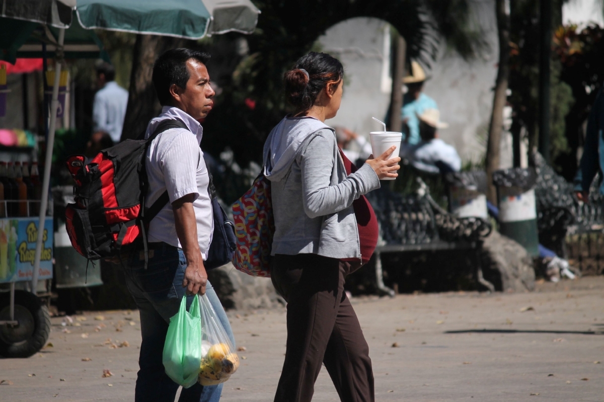 Bolsas de plástico, energía solar y tecnología desalinizadora
