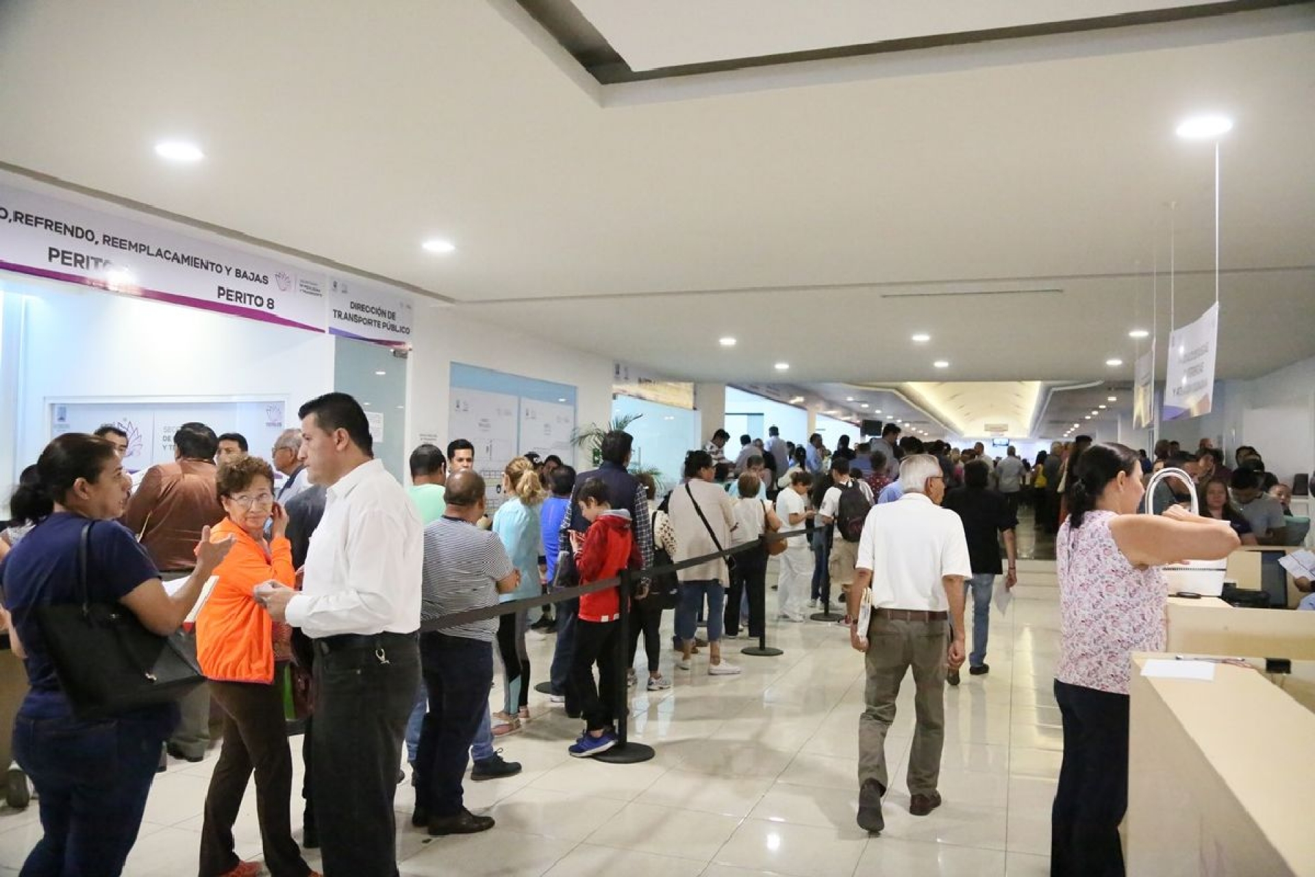 En septiembre concluyen prórroga y subsidios en trámites: SMyT
