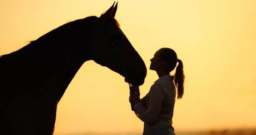 Los caballos pueden reconocer y distinguir las emociones humanas