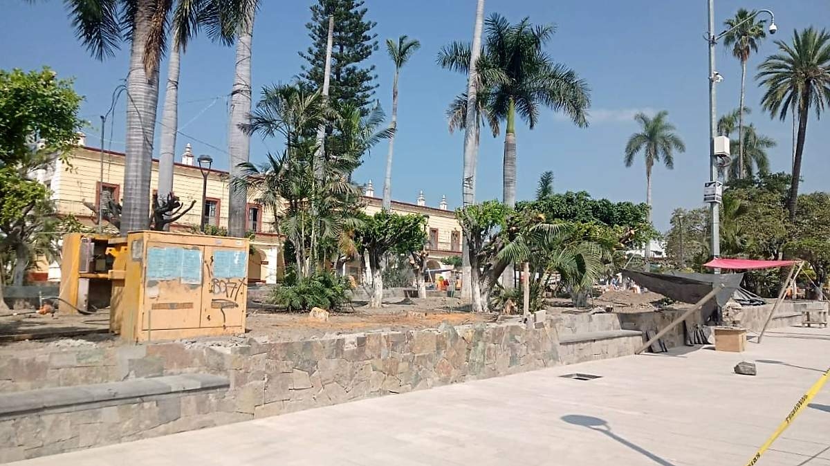 Denuncian ambientalistas afectación a los árboles del zócalo de Cuautla