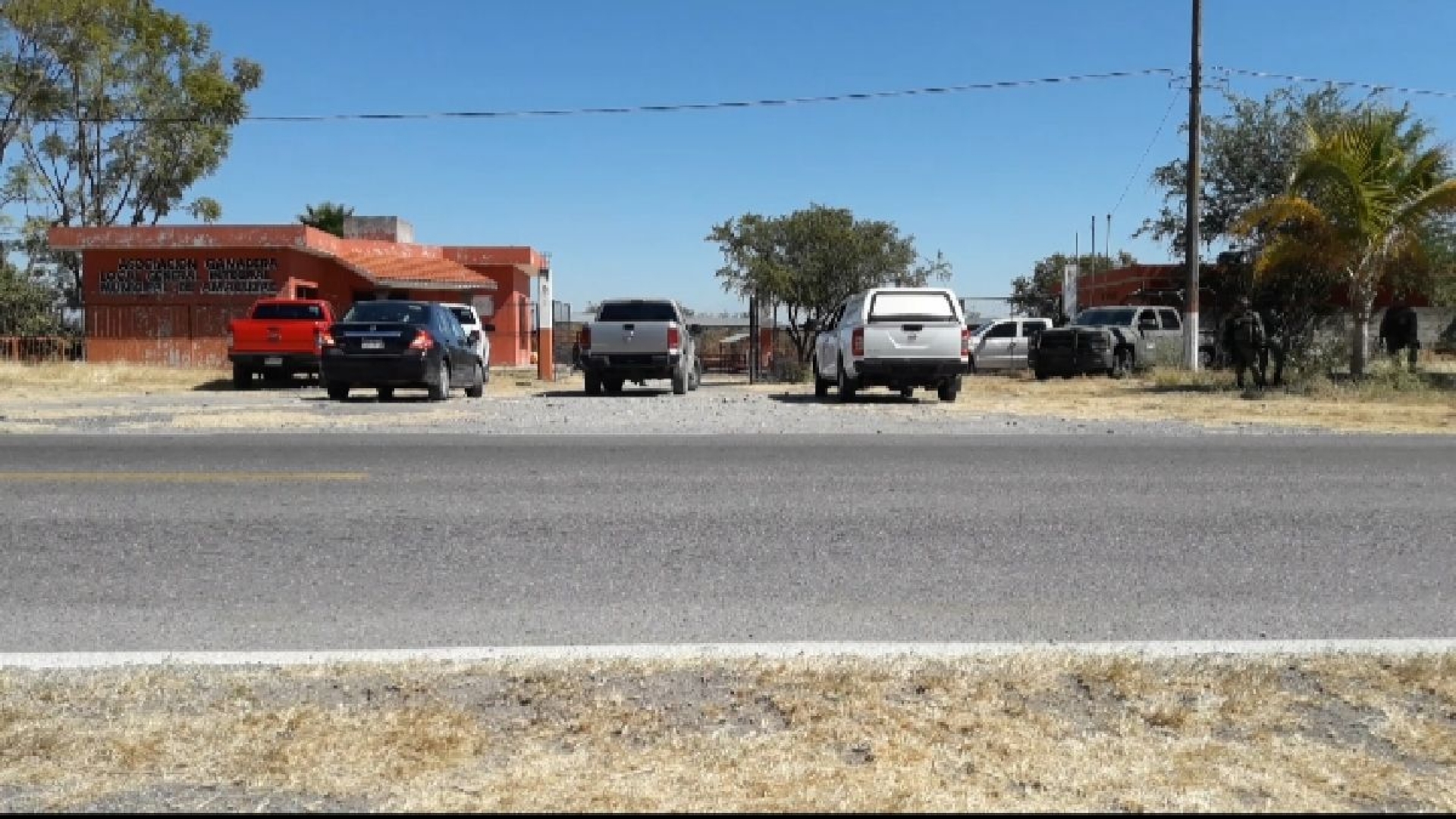 Buscan cadáveres en tianguis ganadero de Amacuzac