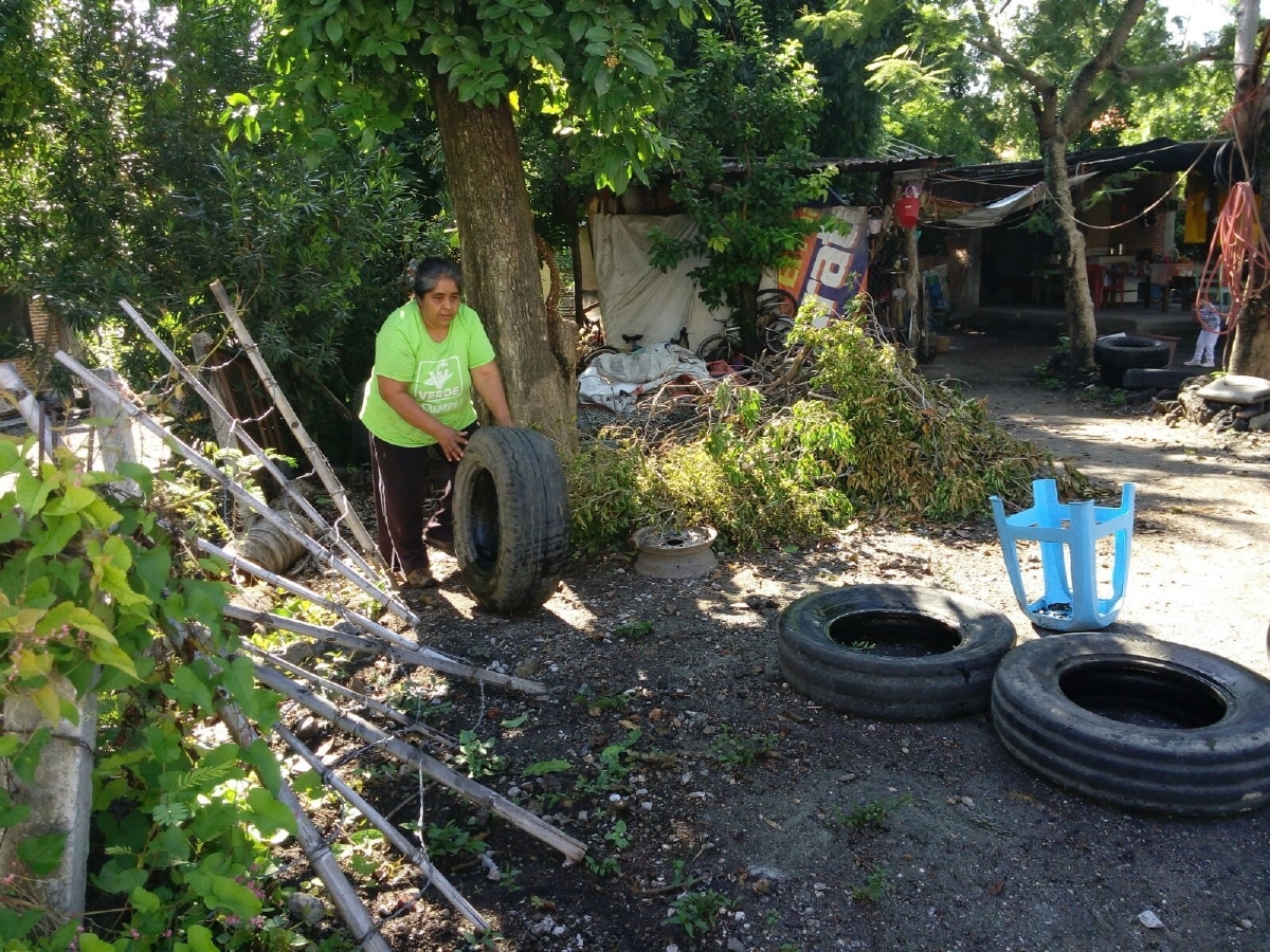 Son ya 18 los casos de zika en Morelos