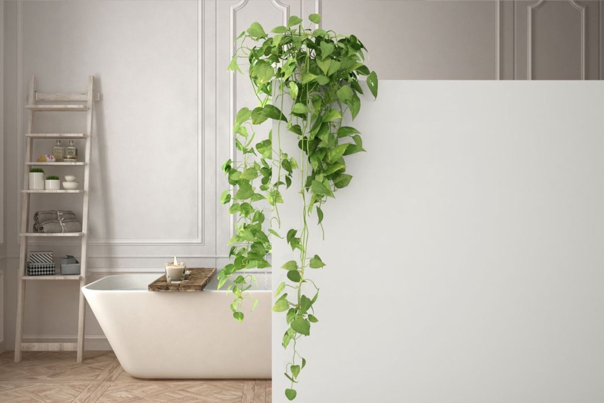 Plantas que puedes tener en el baño para evitar malos olores