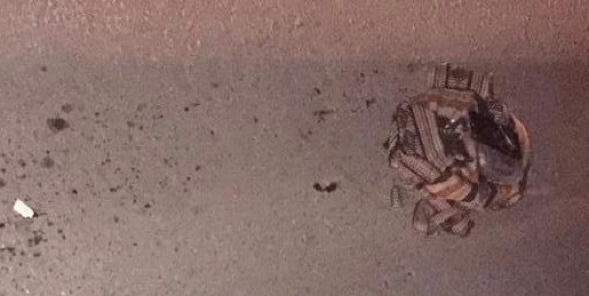 Un hombre murió atropellado en Xoxocotla