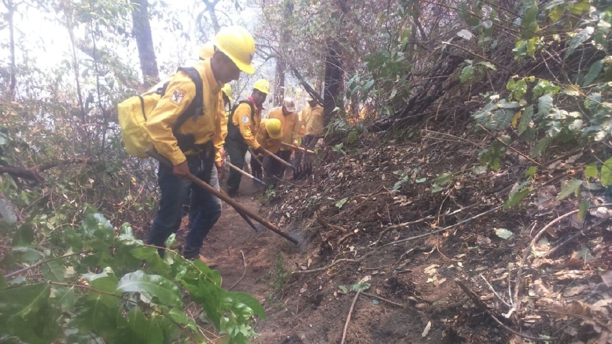 Se reportaron ayer dos incendios forestales más