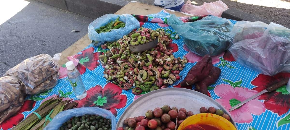 Cuernavaca, su opción para escapar de la competencia en Xoxocotla