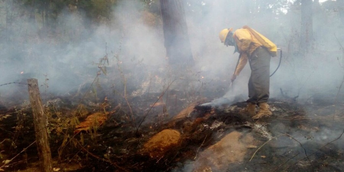 Se registra incendio forestal en la comunidad de Santo Domingo Ocotitlán