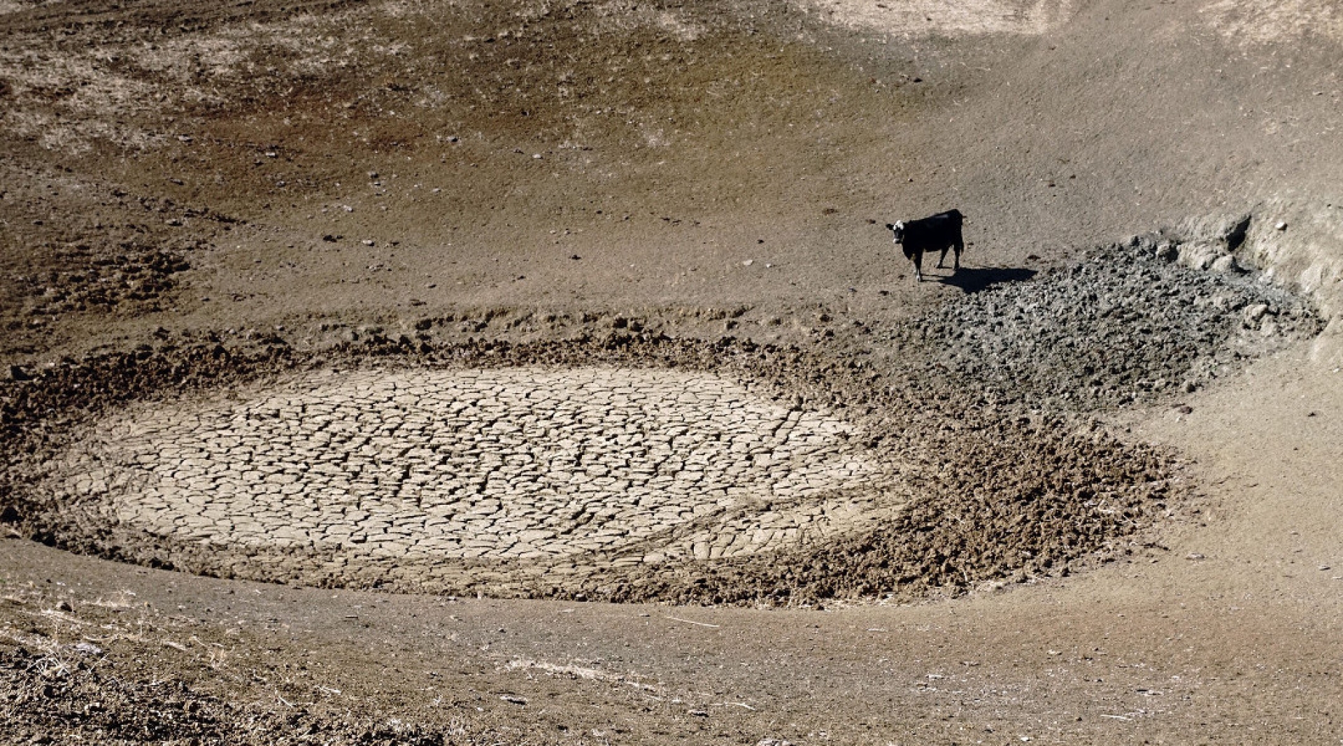 La NASA descubre que el agua dulce del planeta está cambiando