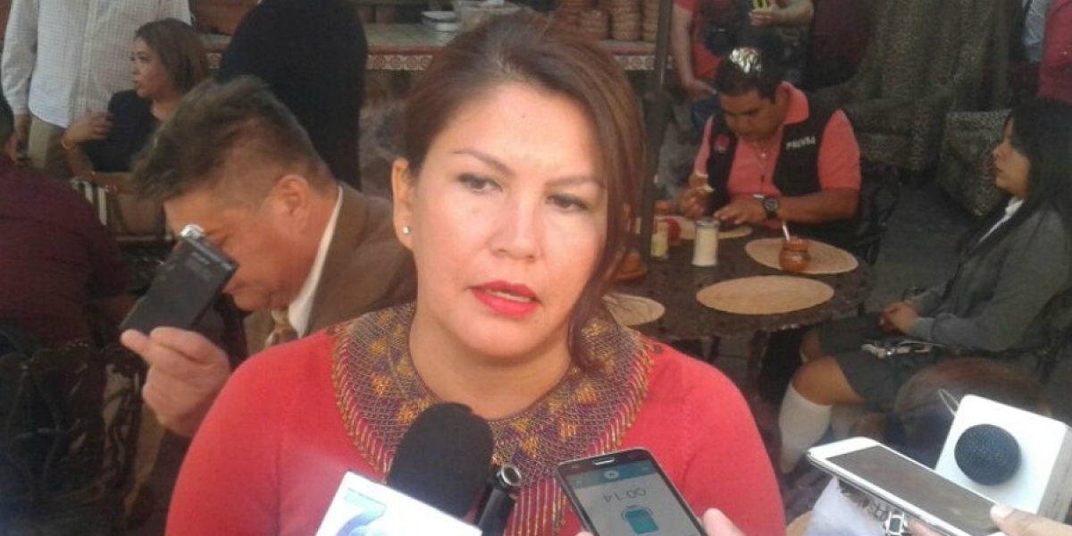 Defiende Figueroa Peralta el trabajo de Capella