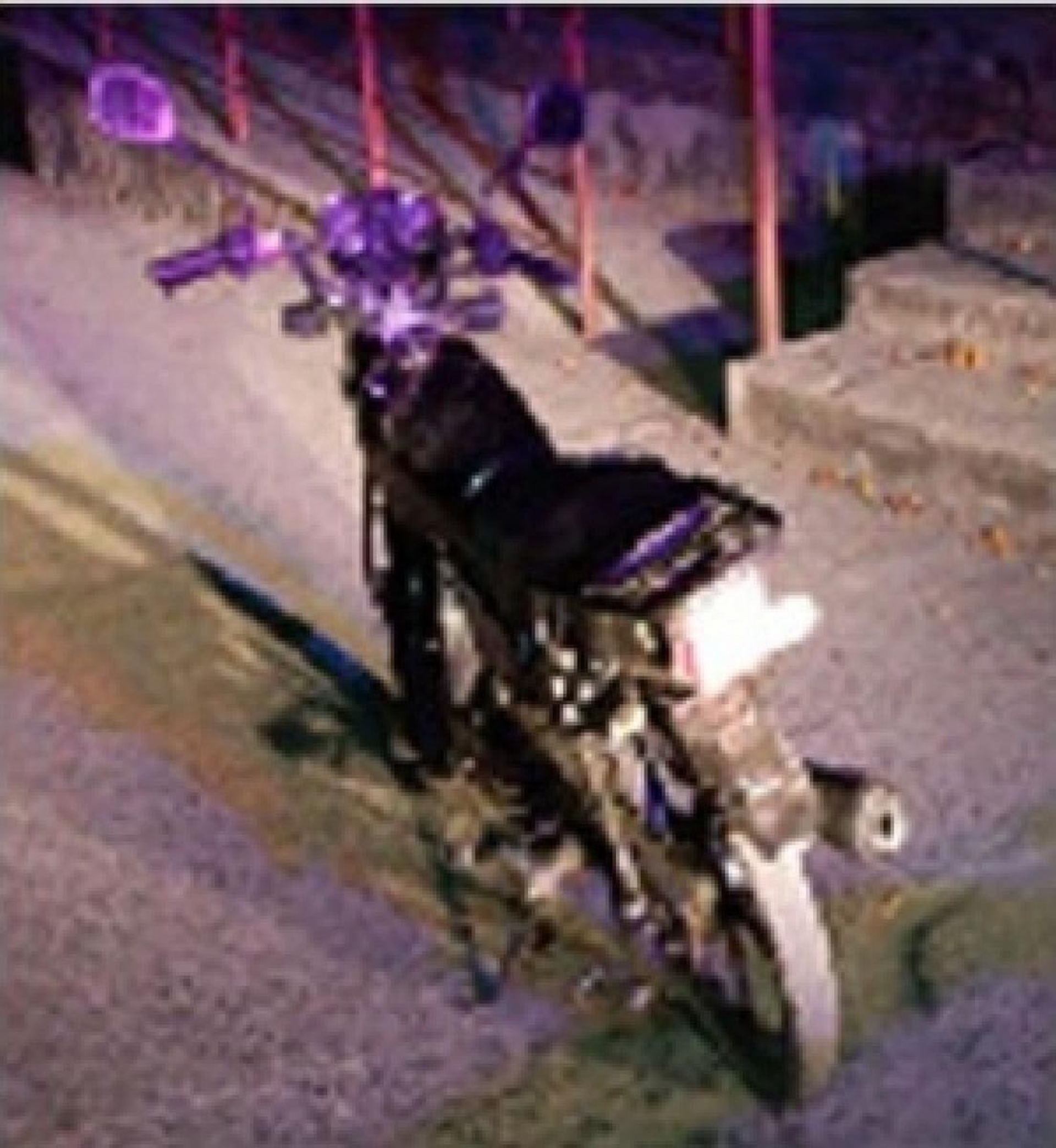 Fue arrestado por conducir una moto robada