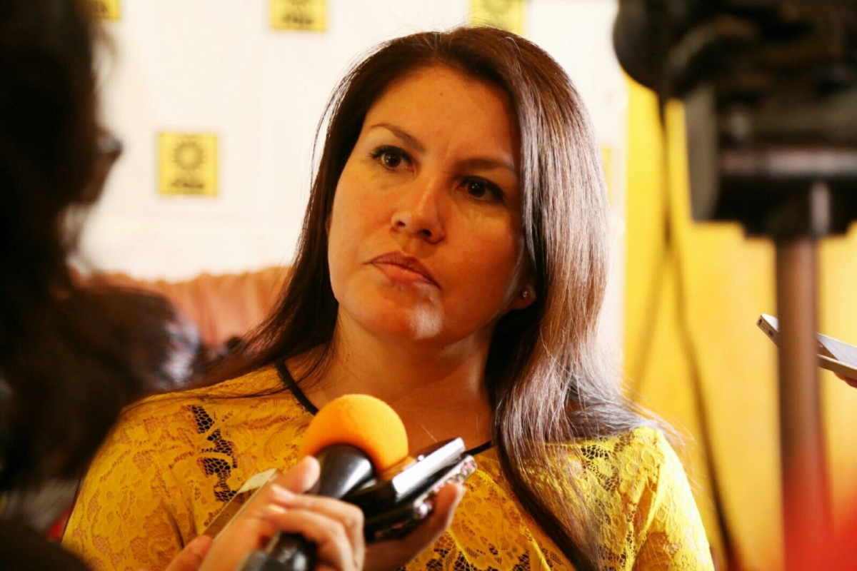 El domingo se renueva la dirigencia estatal del PRD