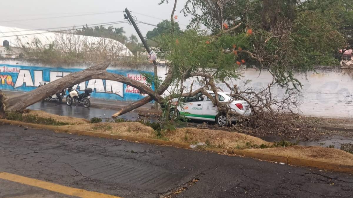 Se salvó de milagro