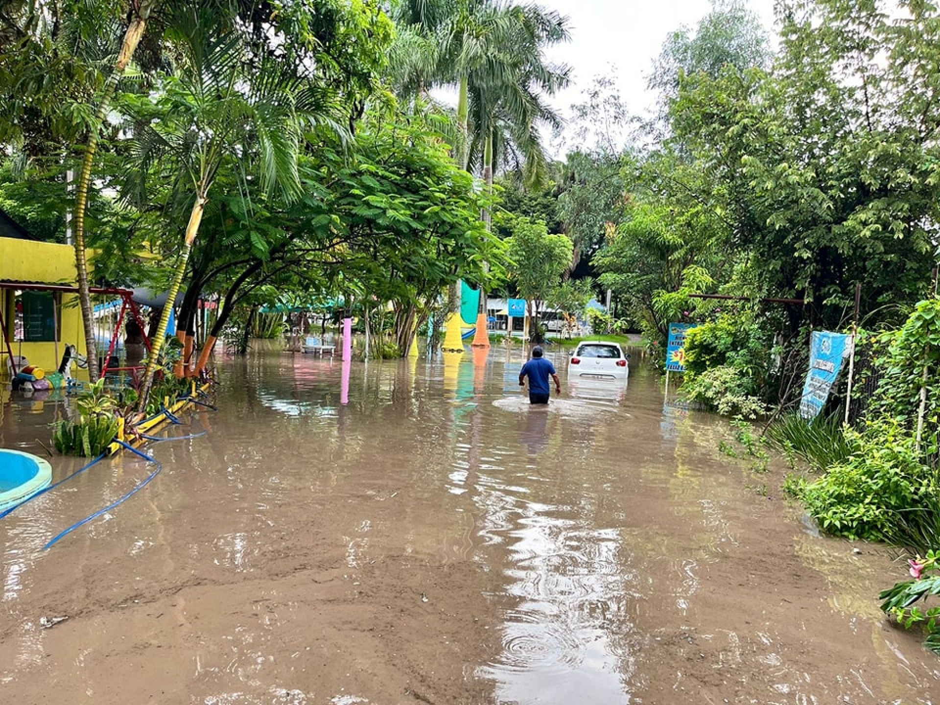 Reportan afectaciones en zonas habitacionales de Coatlán del Río