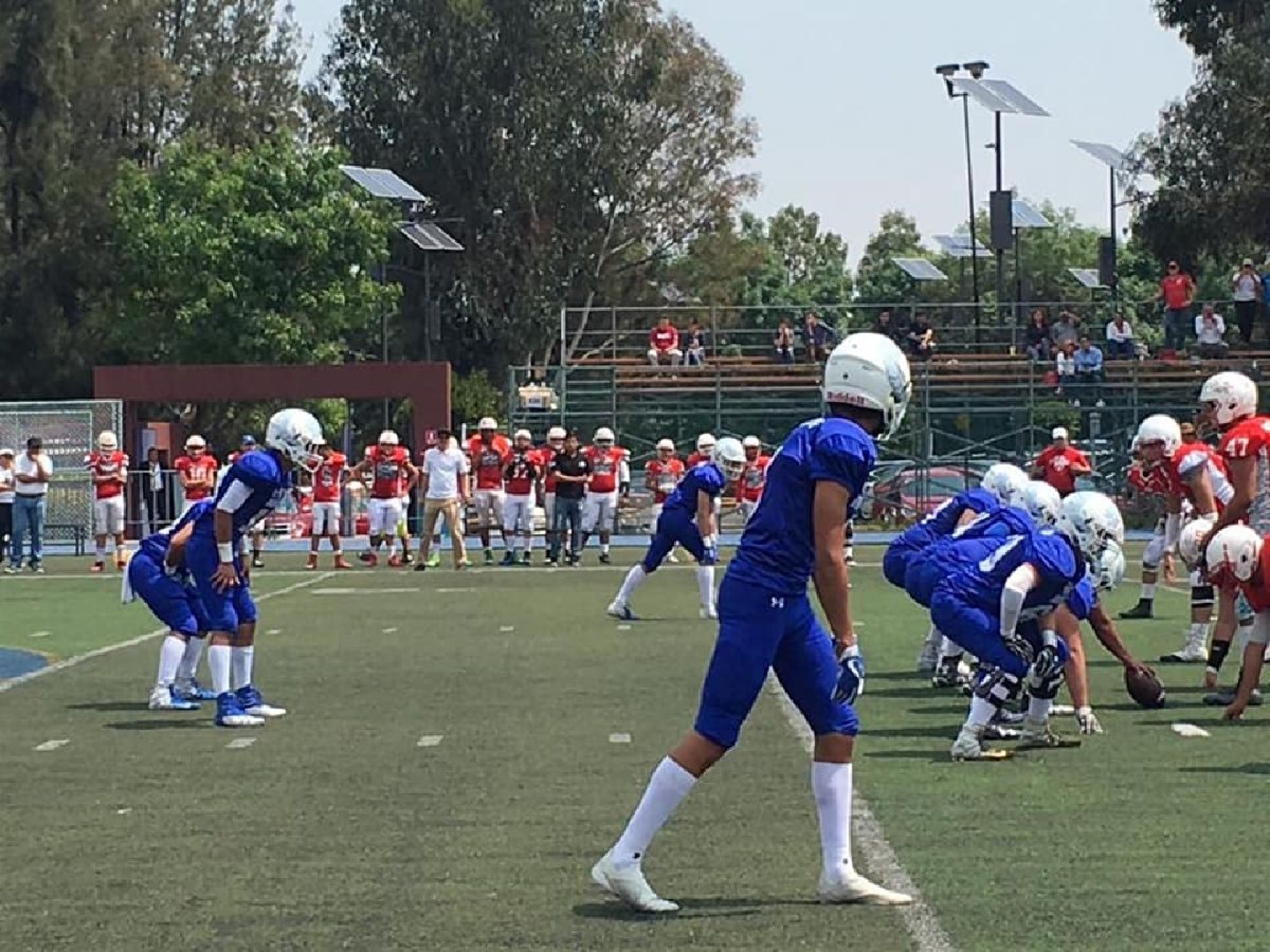 Mandriles sigue sin ganar en la Conadeip