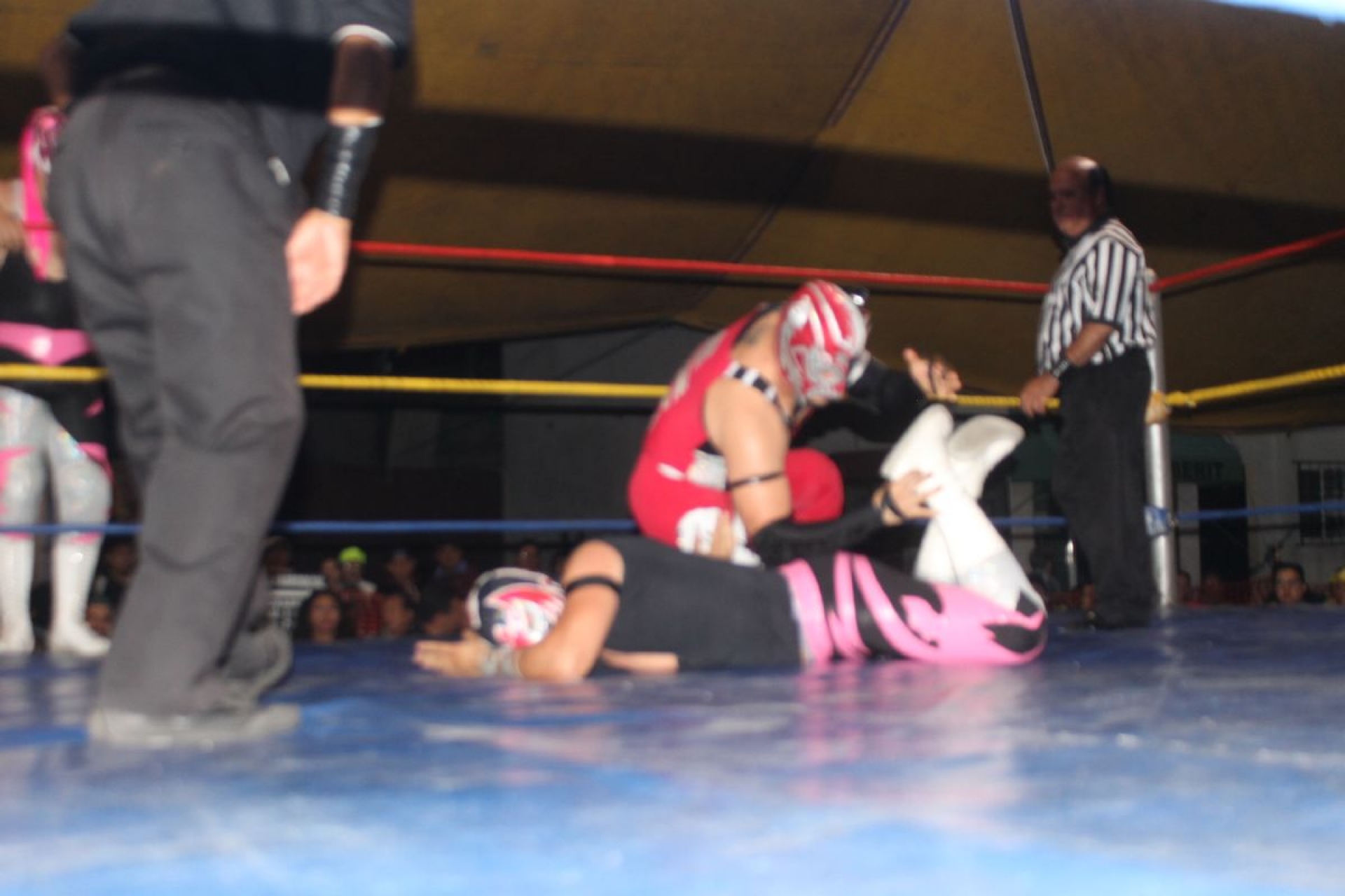 Electro y Fénix imponen su calidad