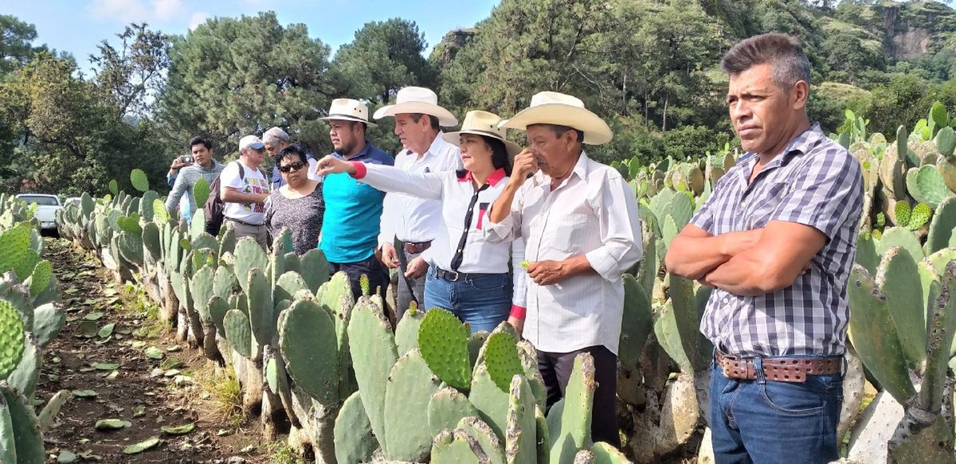 Busca Sedagro consolidar valor agregado del nopal