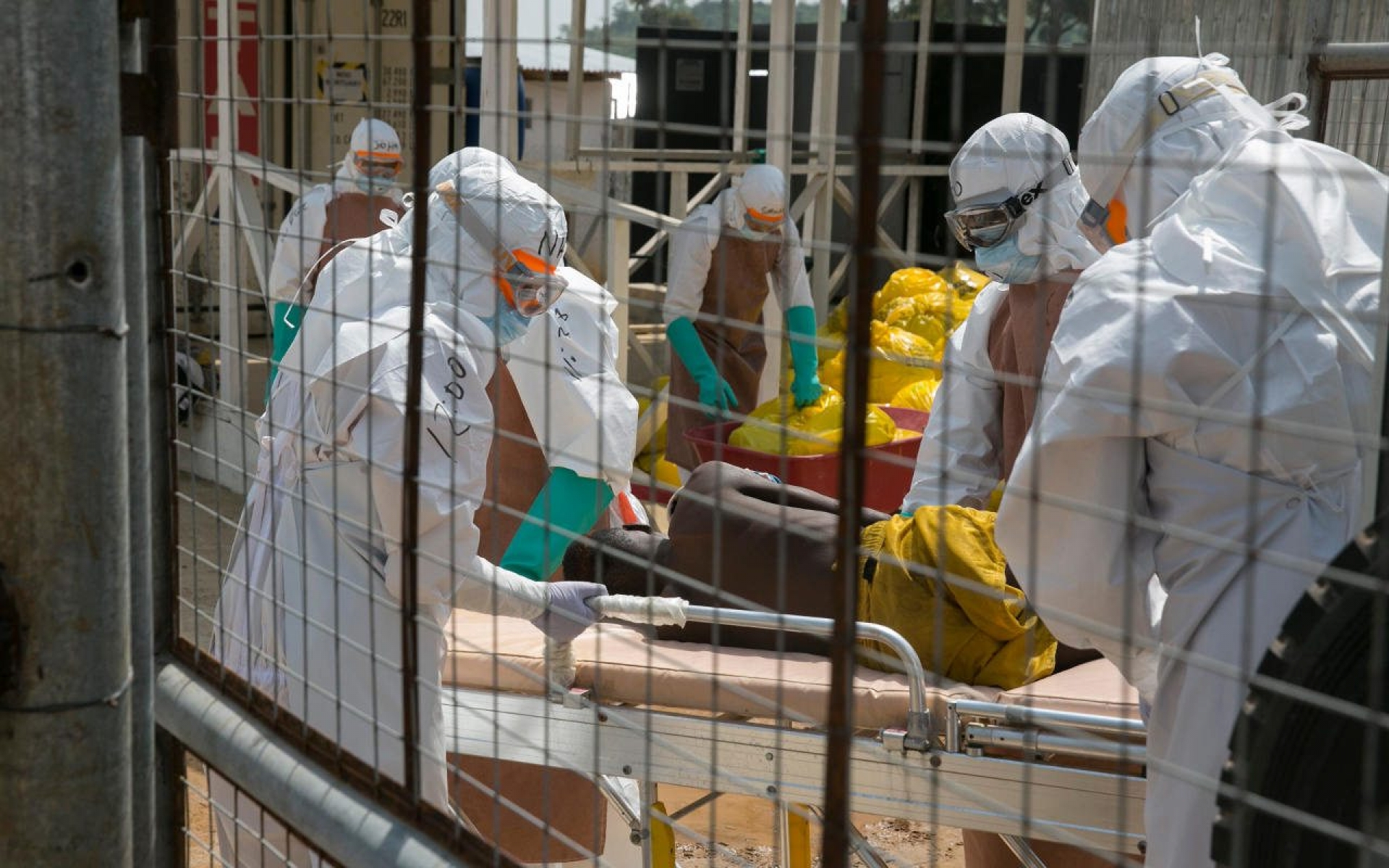 Nuevo brote de ébola pone en alerta al Congo