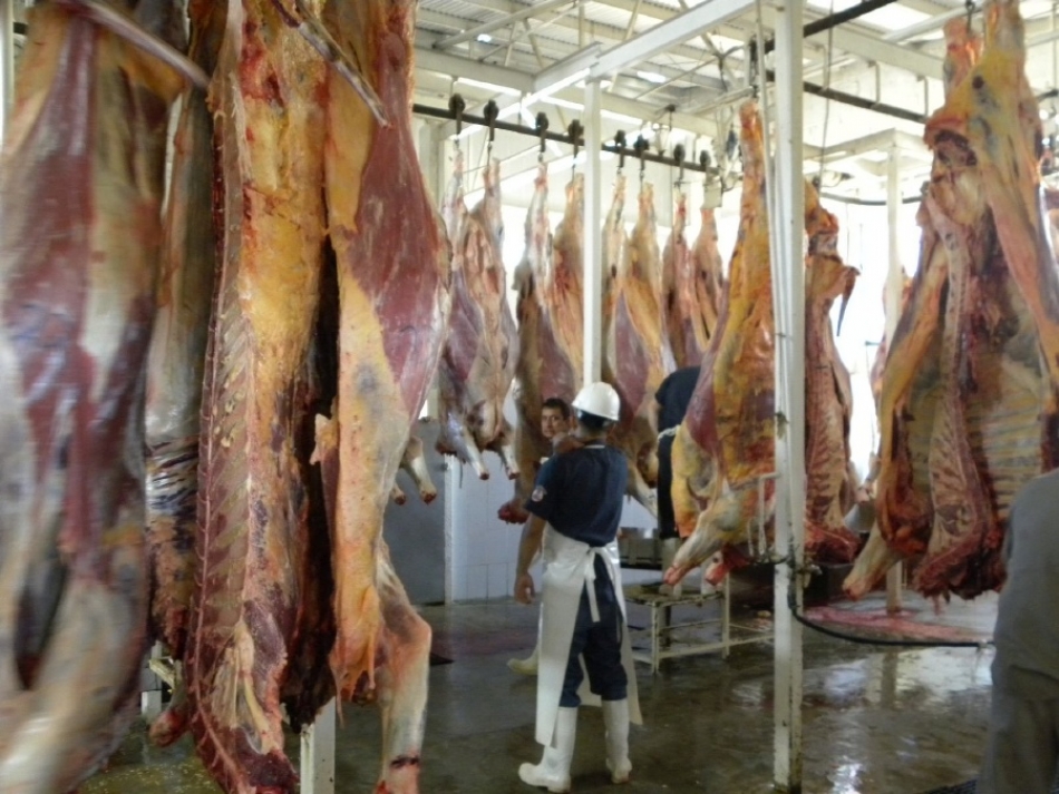Rastro TIF en Miacatlán abrirá mayores espacios de comercialización de carne: SE