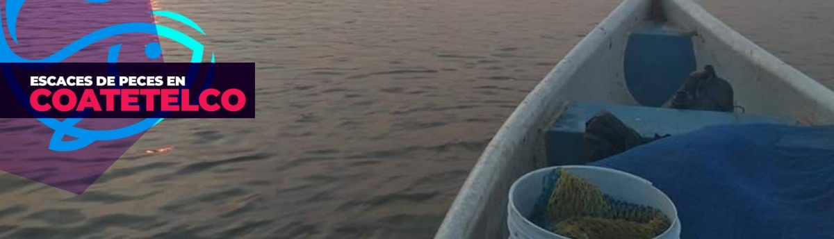 Preocupa a pescadores de Coatetelco y El Rodeo escasez de peces