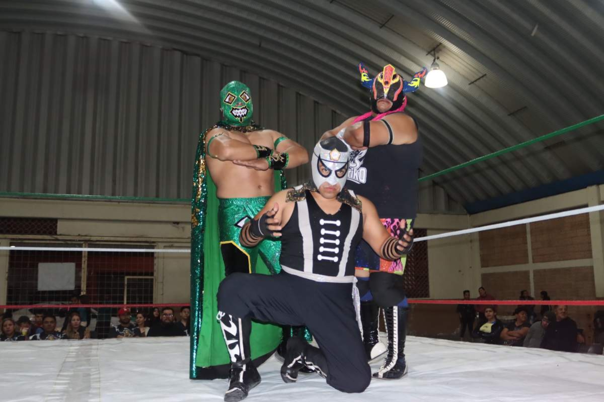 Concluye exitosa temporada de lucha libre