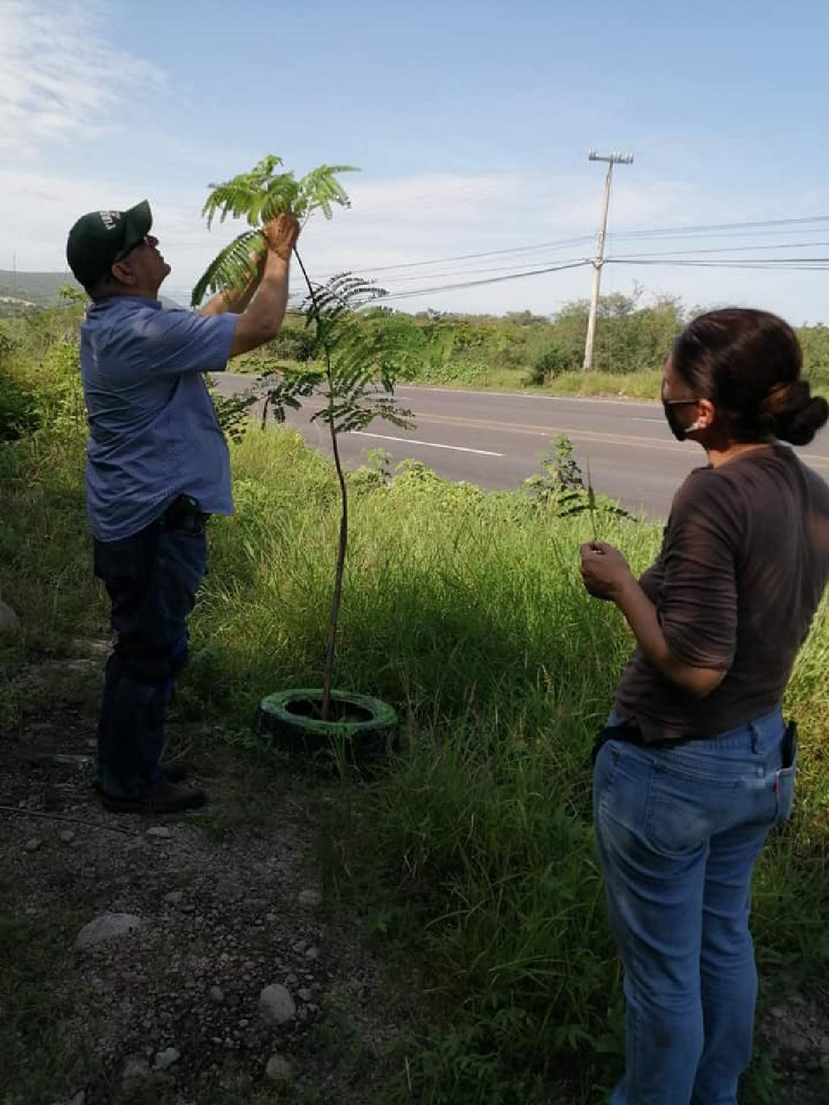 Grupo ciudadano continuará con reforestación a la entrada de Zacatepec
