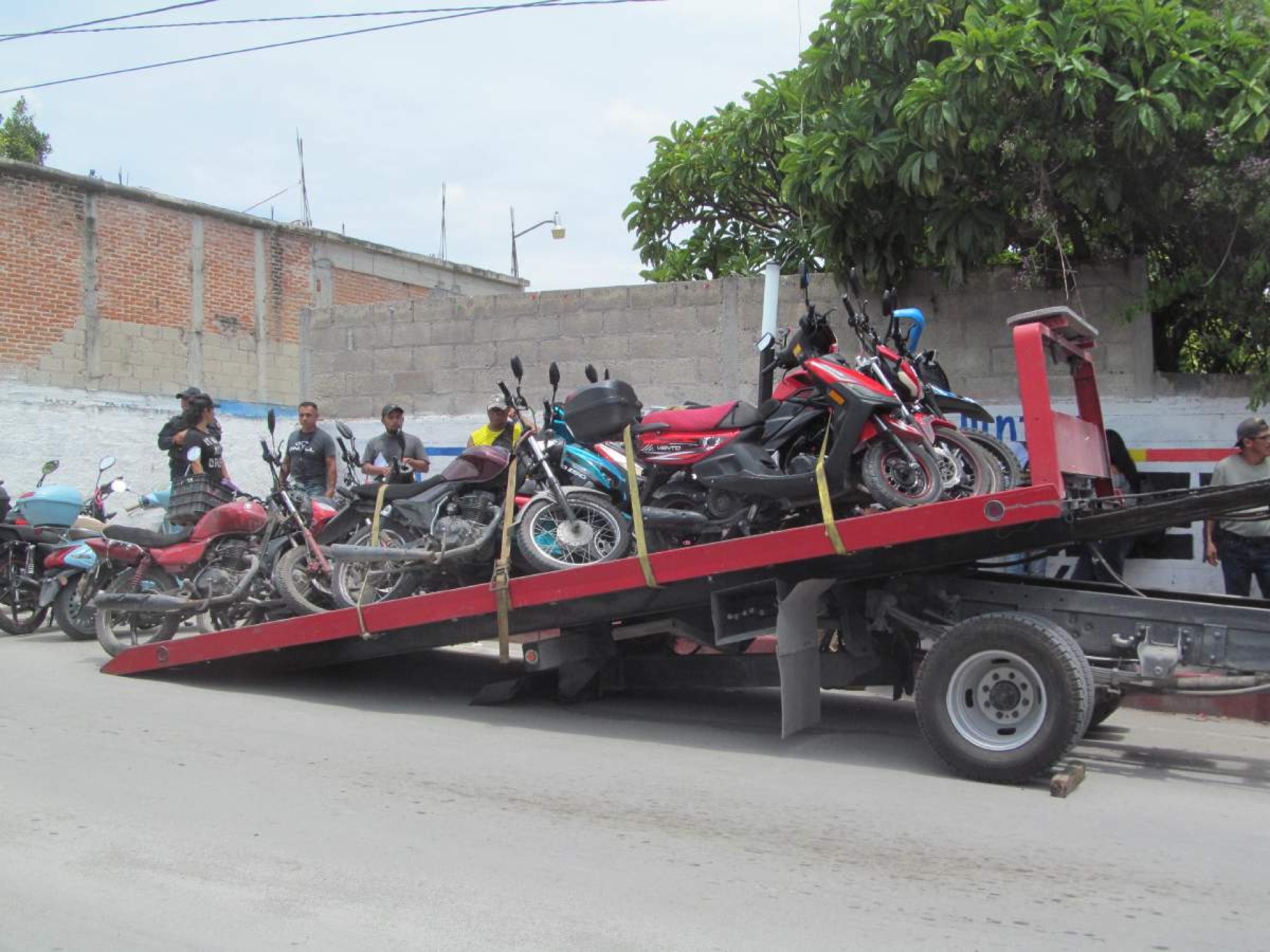 Todavía no hay trámites en Movilidad y Transporte