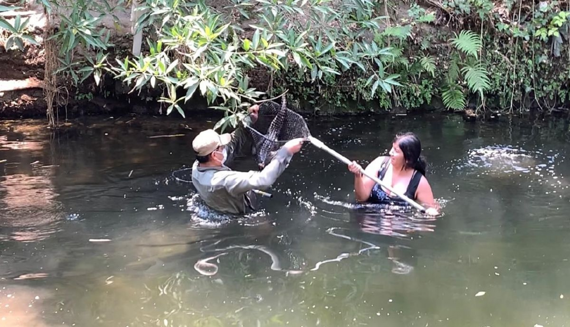 Suspenden búsqueda de lagarto en el río Tembembe