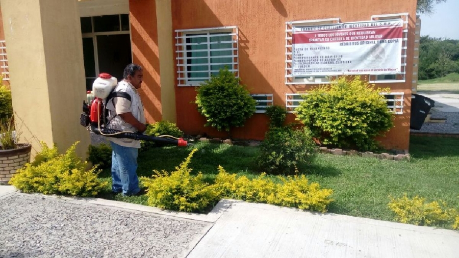 Durante 2017 han detectado 15 casos de chikungunya y dengue en Mazatepec
