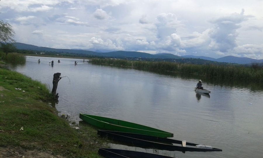 Falta de subdelegado de pesca en Morelos detiene trámites