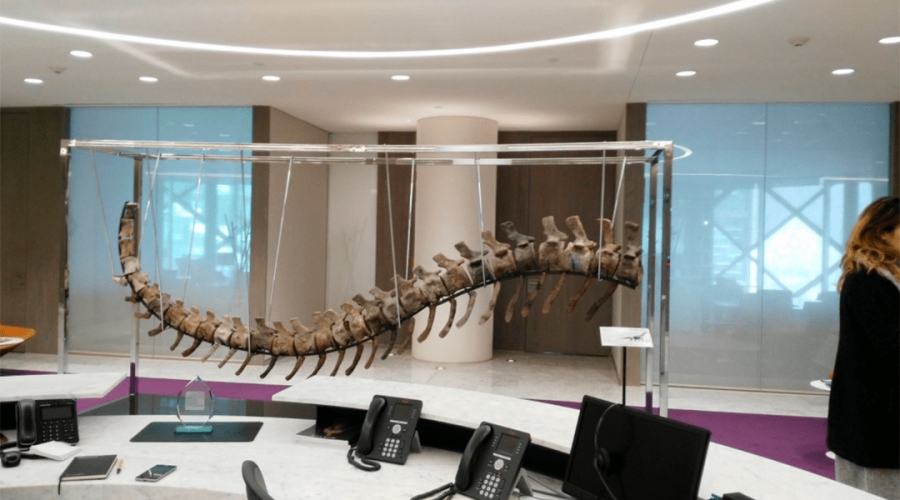 Subastan cola de dinosaurio para reconstruir escuelas tras sismos en México