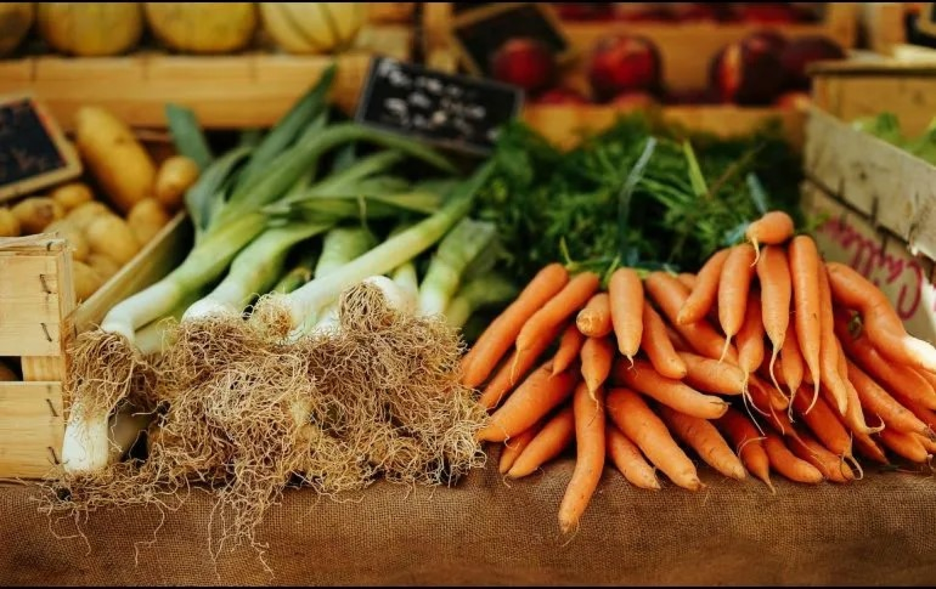 Alto contenido de azúcar en verduras: mitos y realidades explicados
