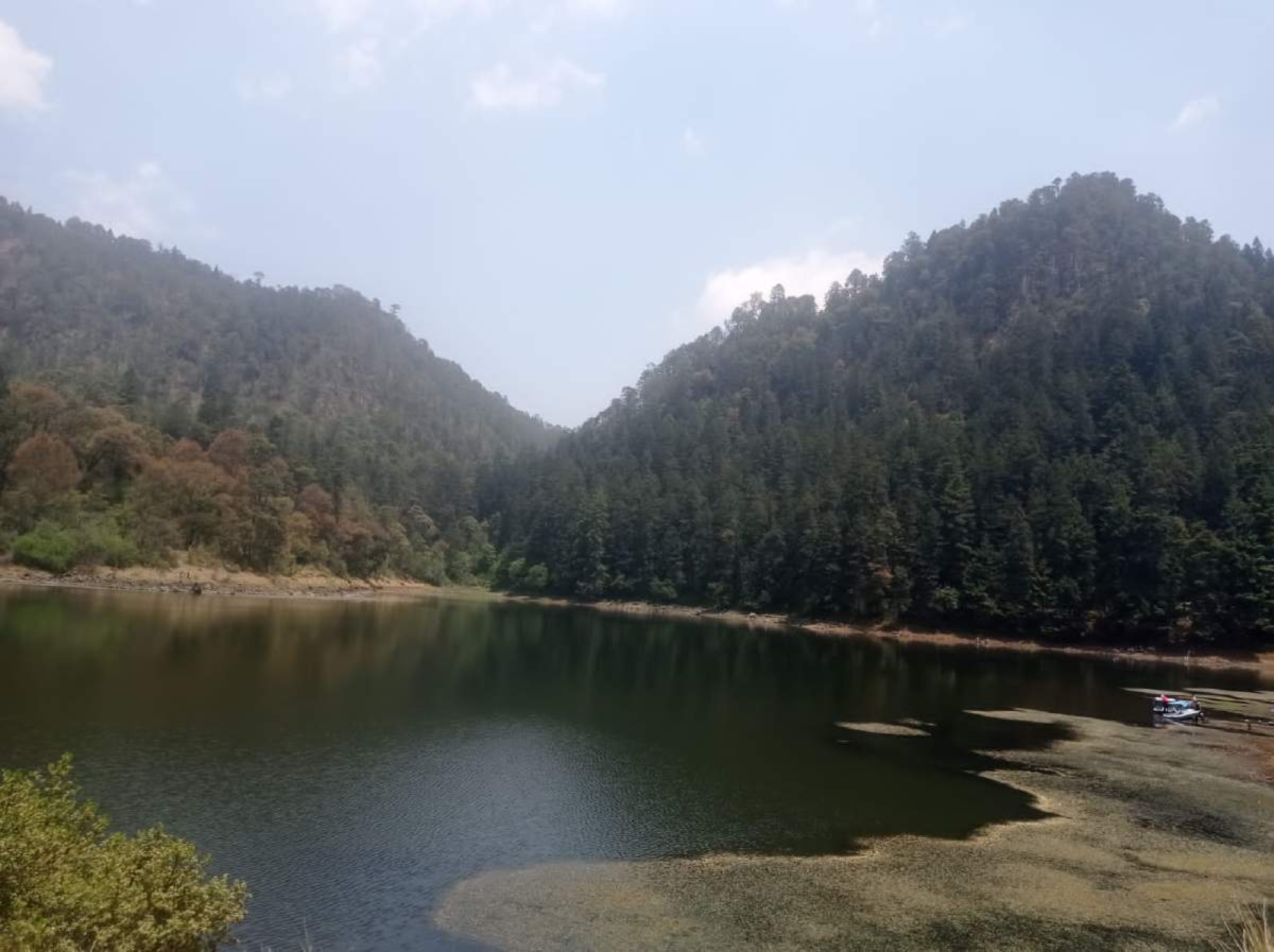 Hotspots de biodiversidad   Y el sector turístico como medida de conservación en Morelos