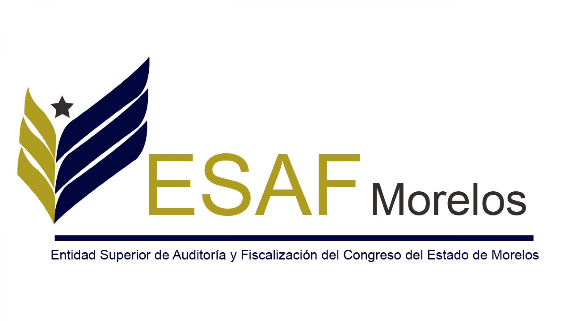 Hoy nombrarán al titular de la ESAF
