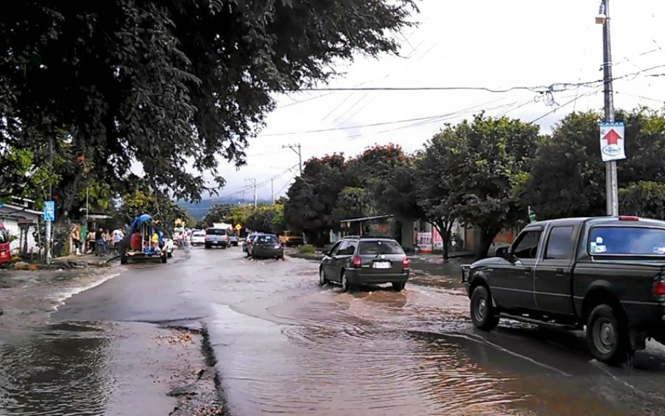 Anuncian jornada intensiva de fumigación contra mosco transmisor del dengue