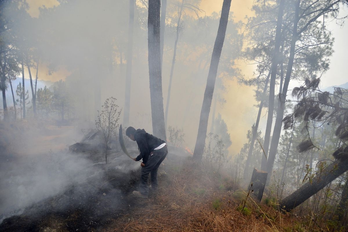 Solidaridad permite el control del fuego