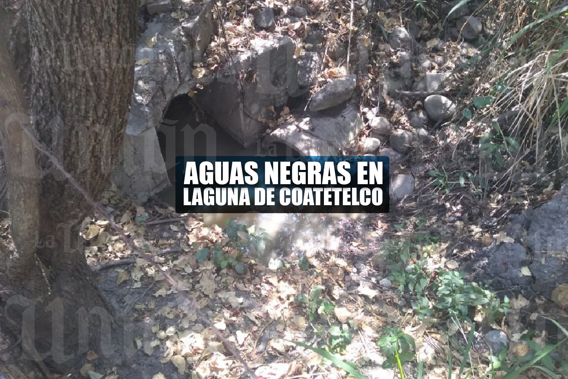 Denuncian contaminación por aguas negras en laguna de Coatetelco