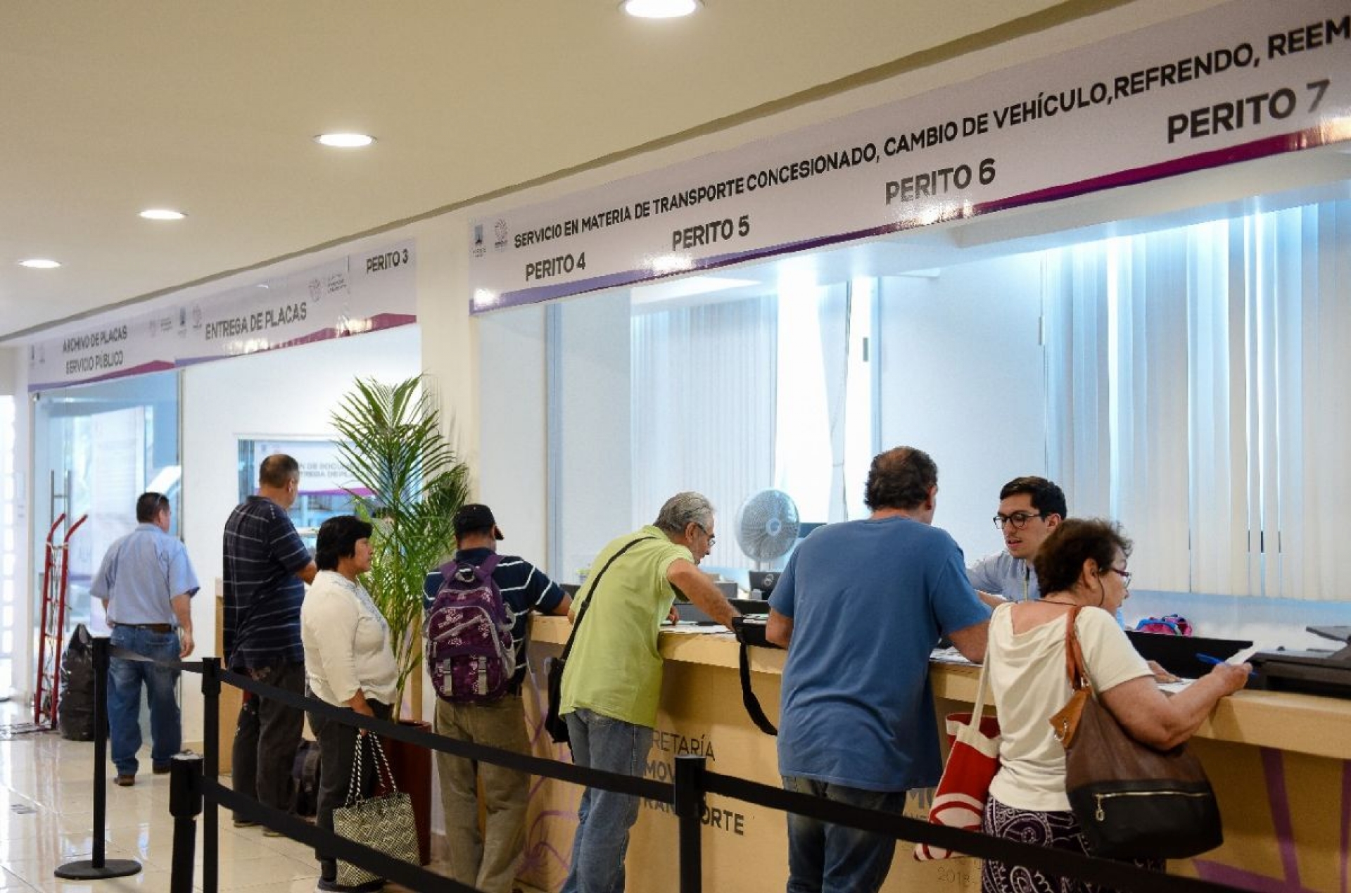SMyT: 300 mil dueños de autos adeudan el refrendo