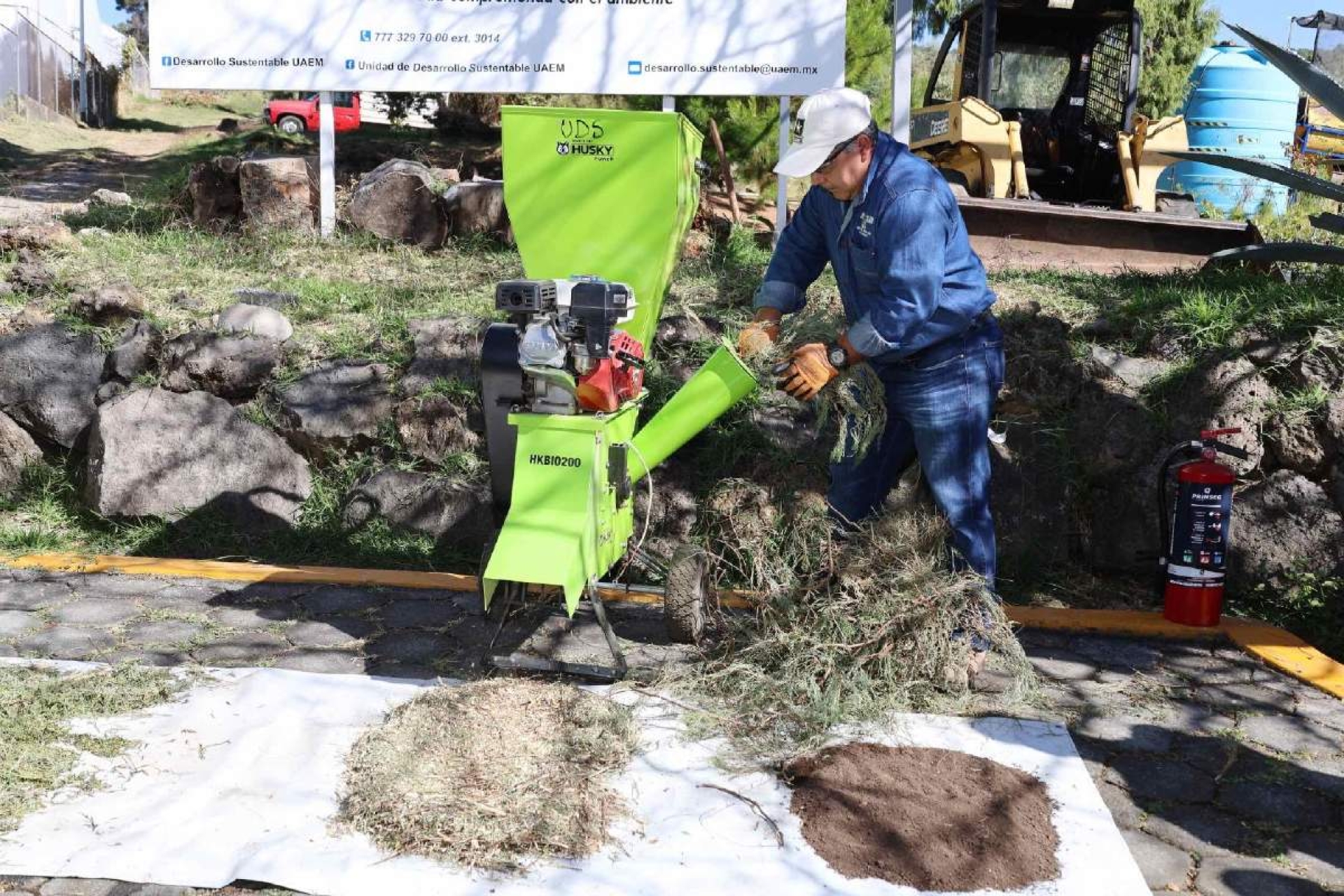 Invita UAEM a participar en la campaña de acopio de árboles de Navidad 2025