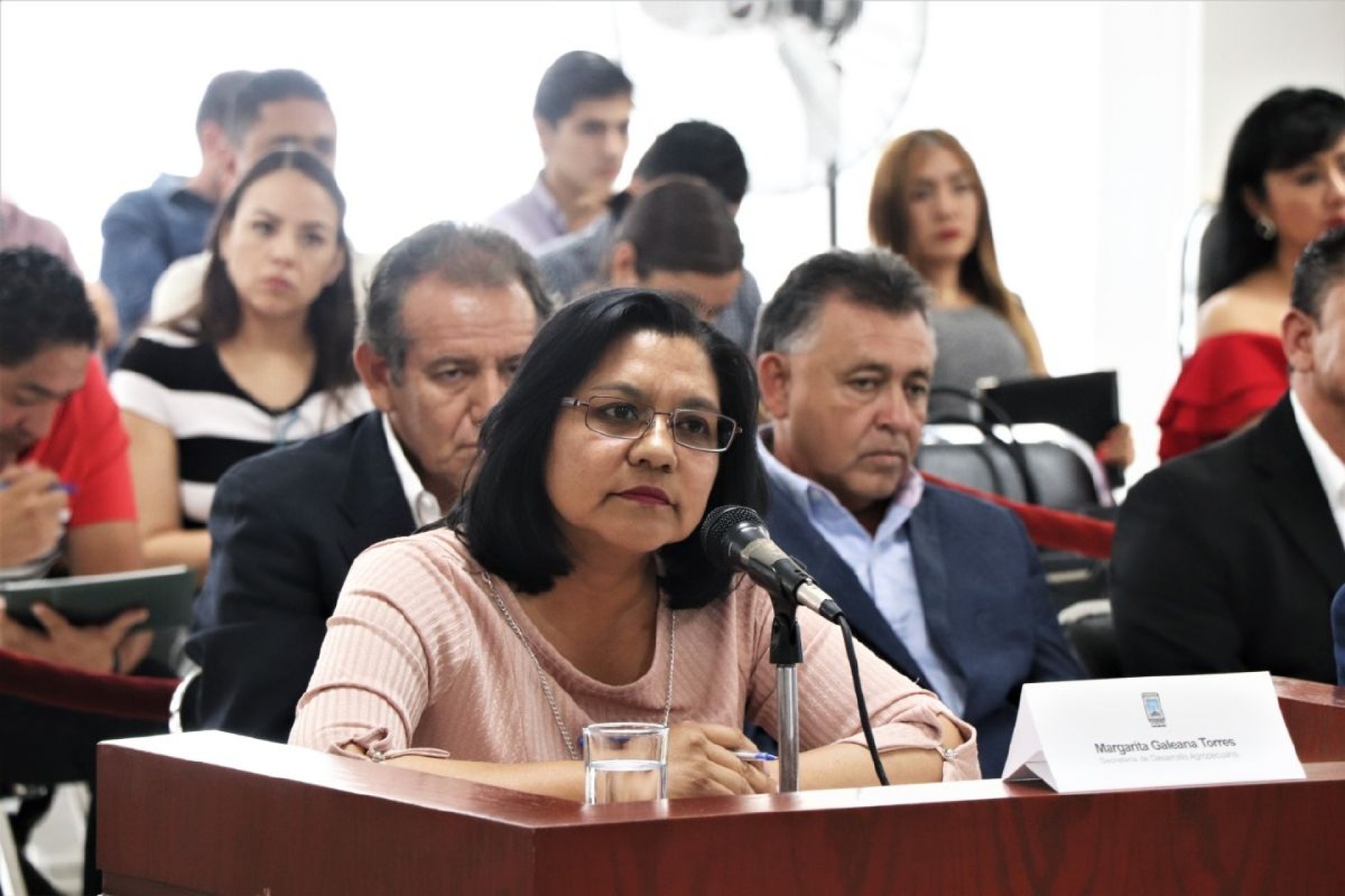 “Jalón de orejas” de diputados a titular de Sedagro