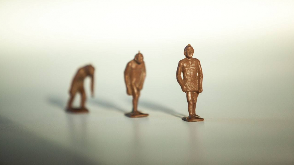 Una tercera parte de los mexicanos no cree en la teoría de la evolución de Darwin