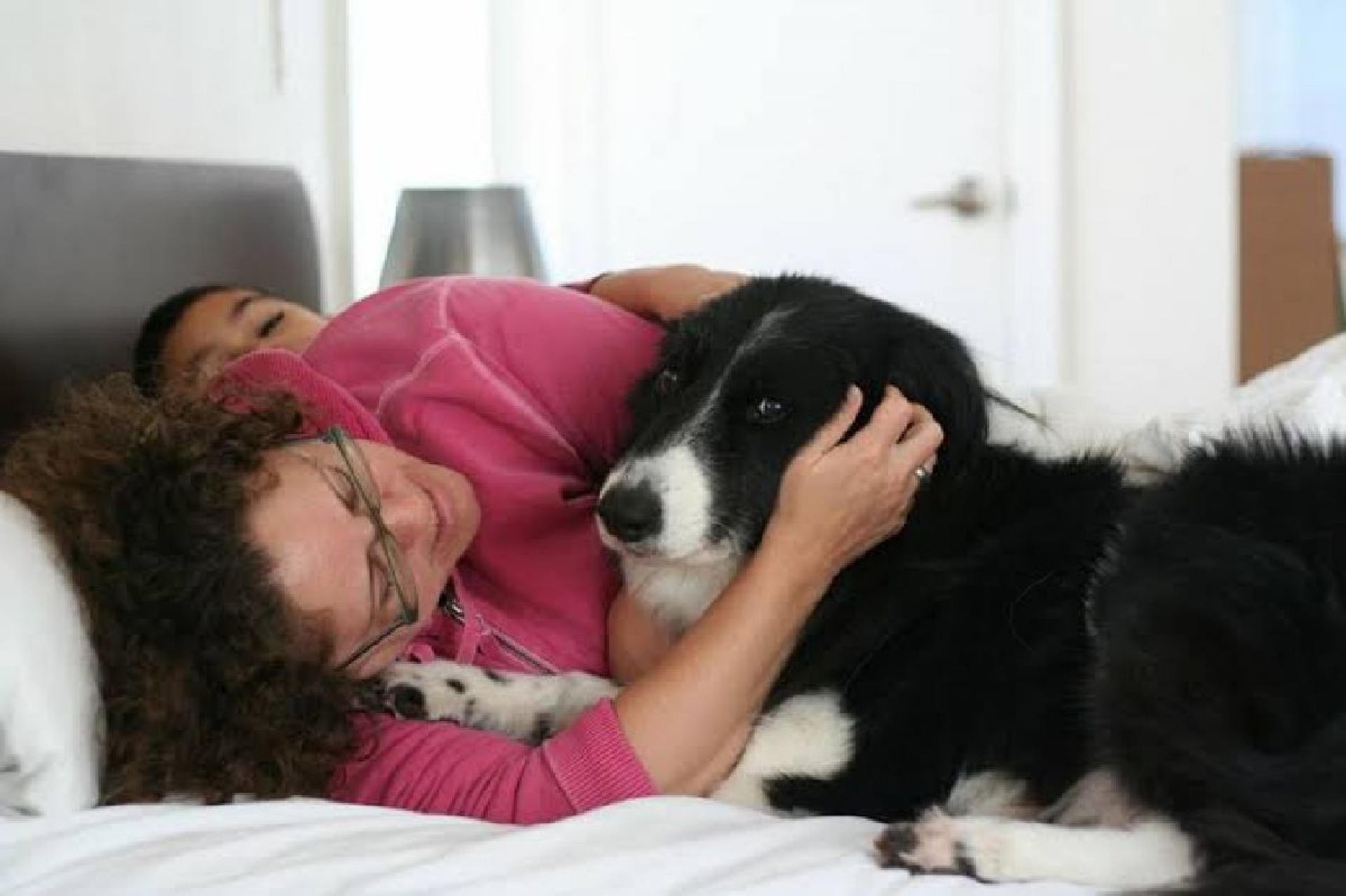¡Vacaciones! Pero… ¿qué hacemos con el perro?